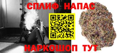 Альфа ПВП Жуковский