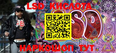 гидра Заводоуковск