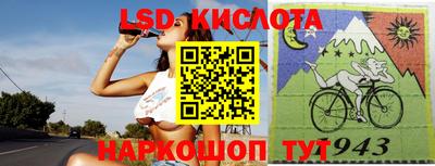 гидра Заводоуковск
