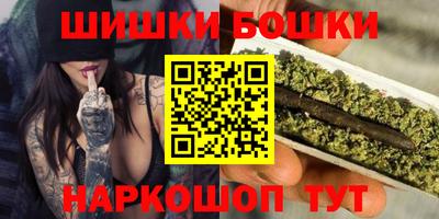 гидра Заводоуковск