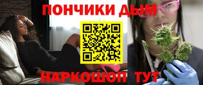 гидра Заводоуковск