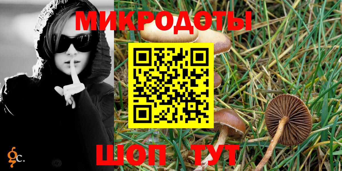 Галлюциногенные грибы прущие грибы Кропоткин